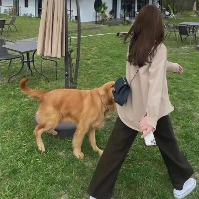 哈桑·明哈杰:国王的小丑