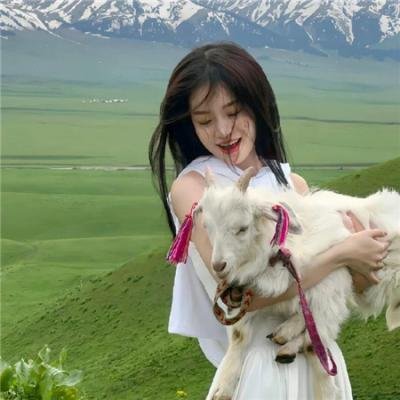 挪威的抵抗