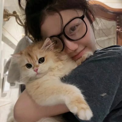 贪婪2019